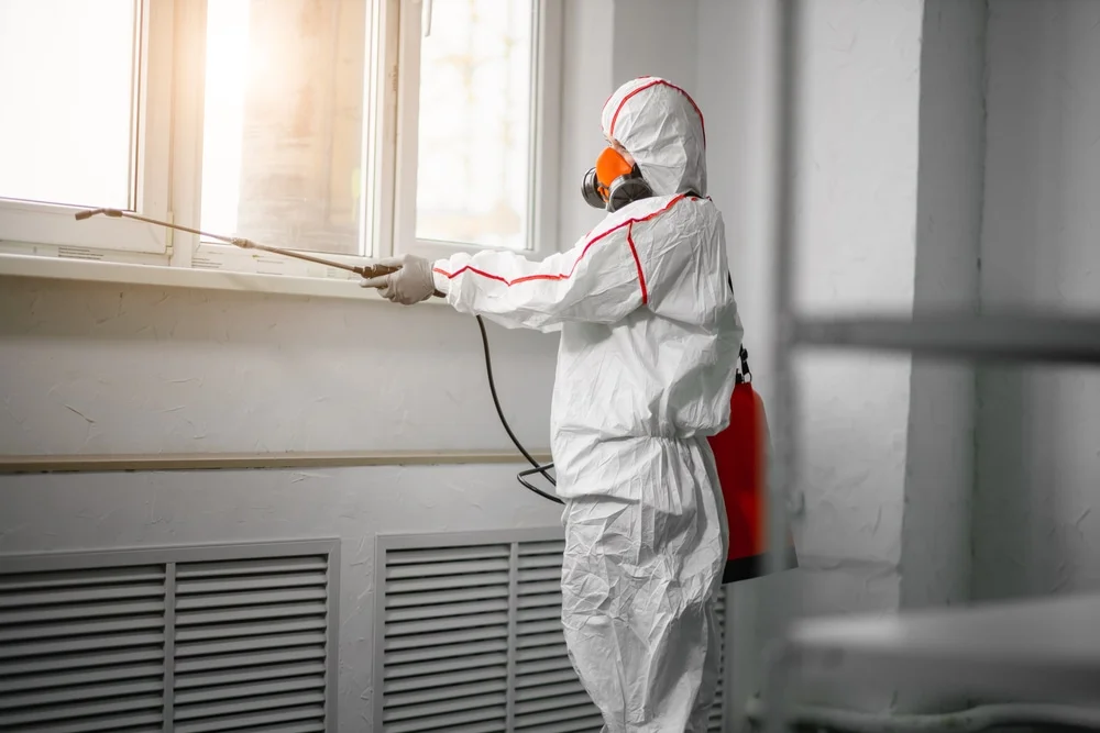 Professional mold remediation services in Dover, NH